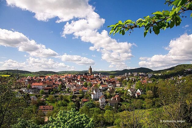 Panorama von Bad Wildungen_Foto-Katharina-Jaeger