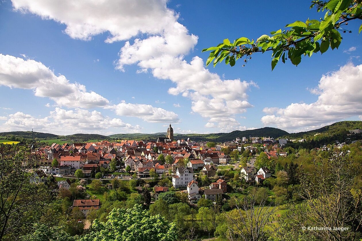 Panoramabild Bad Wildungen