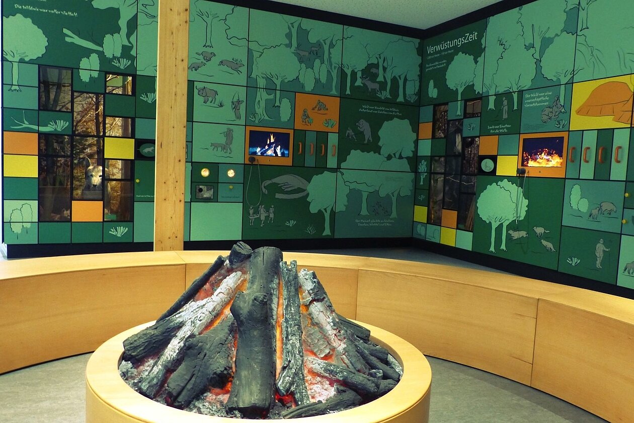 KellerwaldUhr_Foto_Nationalpark-Kellerwald-Edersee