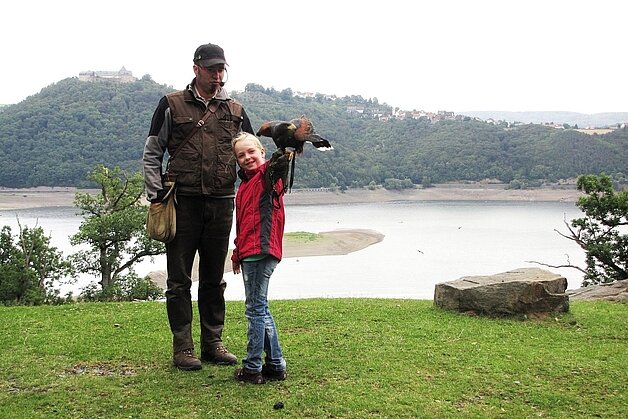 Greifvogelschau im Wildtierpark_Foto-Nationalpark-Kellerwald-Edersee