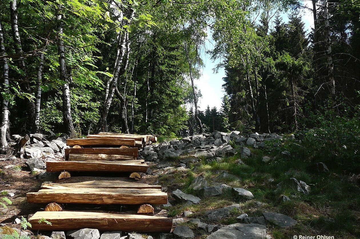 Bohlensteg auf dem Wuestegarten-Foto_Naturpark_Kellerwald_Edersee Bohlensteg auf dem Wuestegarten-Foto_Naturpark_Kellerwald_Edersee