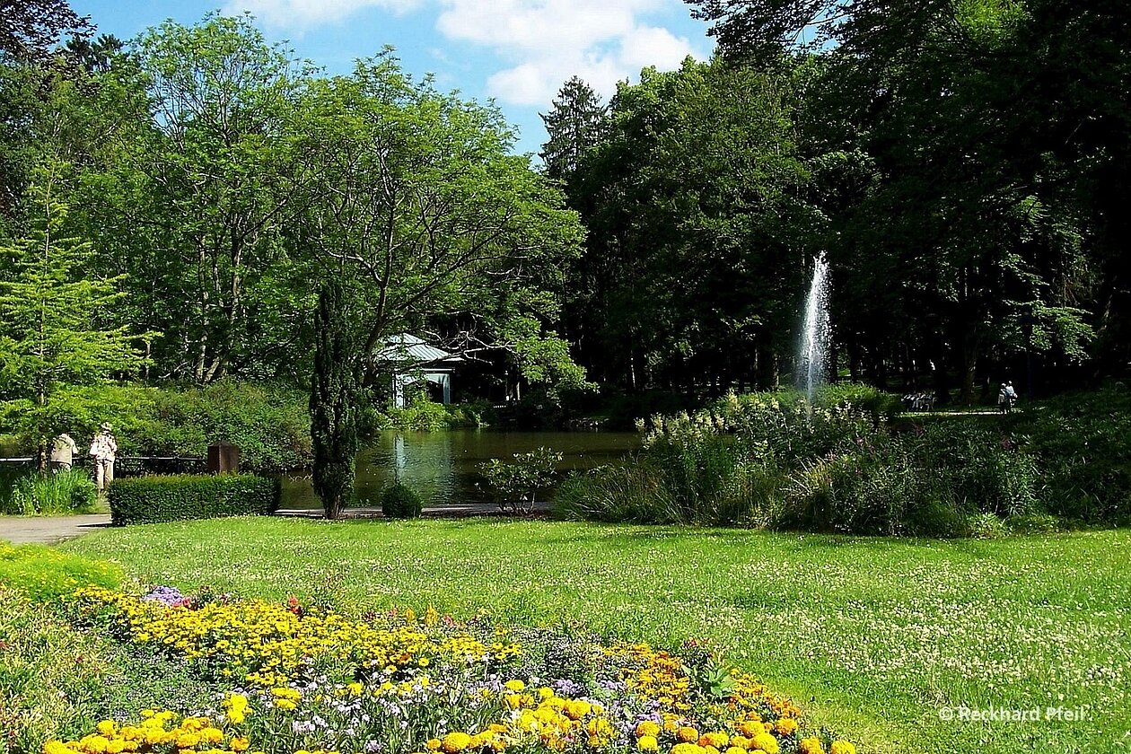 Schwanenteich in Bad Wildungen - Reinhardshausen