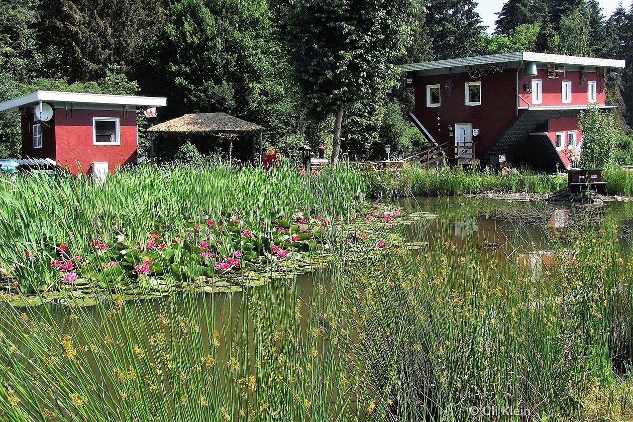 Das tolle Haus in Affoldern_Foto-Uli-Klein Das tolle Haus in Affoldern