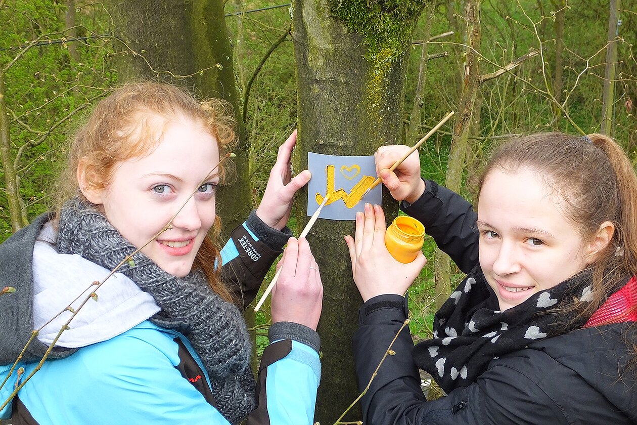 Die Deutsche Wanderjugend