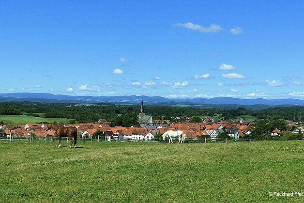 Panorama mit Pferden_Foto-Reckhard-Pfeil Panorama mit Pferden_Foto-Reckhard-Pfeil